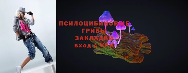 метадон Горнозаводск