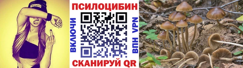 Псилоцибиновые грибы ЛСД  как найти   Дрезна 